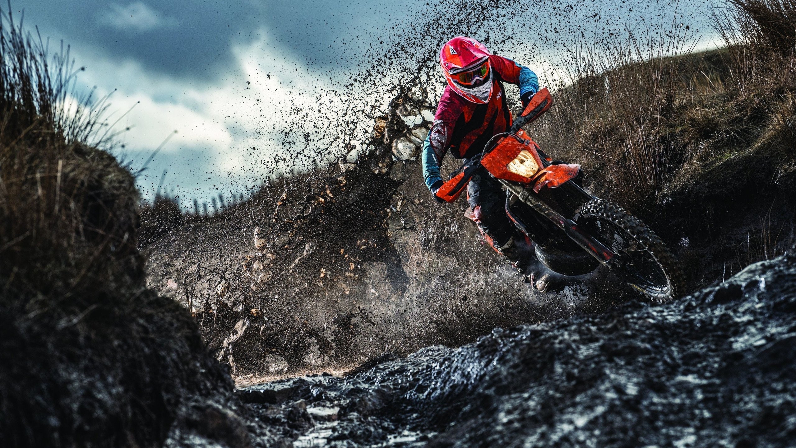 奥运周期关键战之夜，特奥表现堪称教科书